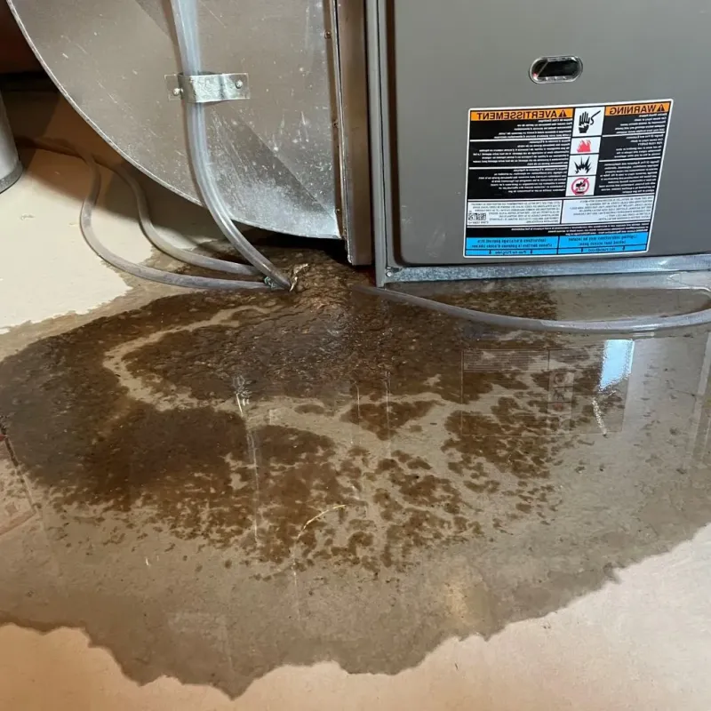 Pipe Burst and Leak Restoration in Ferron, UT