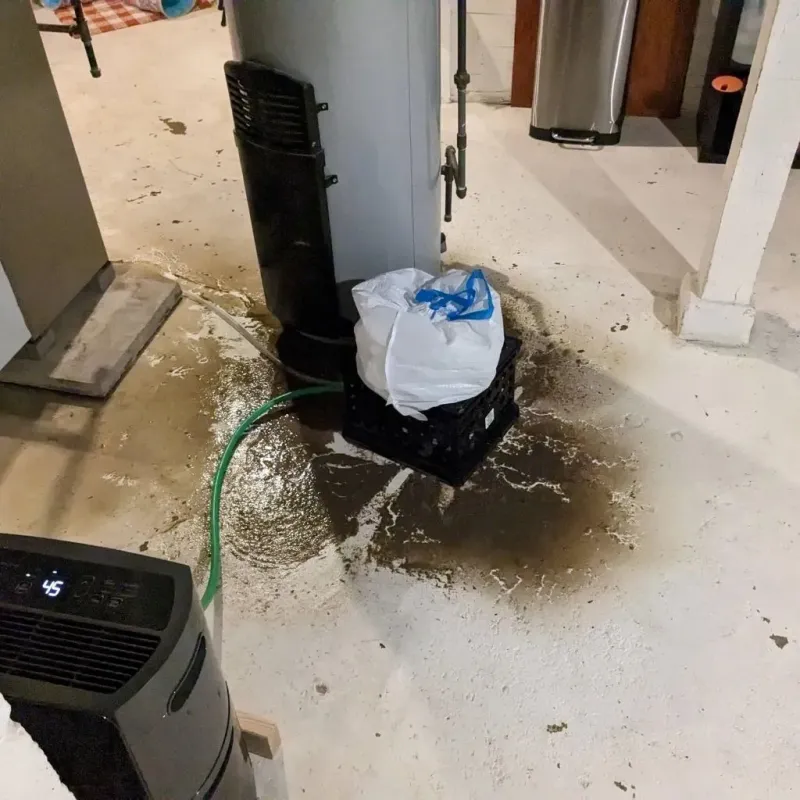 Sewage Backup Cleanup Service in Ferron, UT